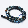 Faceted Natural Agate Beads Strands X-G-F561-6mm-D08-2