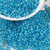 MIYUKI Round Rocailles Beads SEED-X0055-RR0647-4