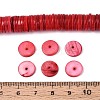 Natural Freshwater Shell Beads Strands SHEL-N037-03A-04-4