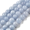 Dyed Natural Malaysia Jade Beads Strands G-G021-02B-22-1