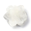 Luminous Resin Cabochons LS-RESI-E033-02E-3