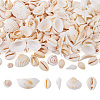 DIY Natural Shell Jewelry Making Finding Kits DIY-BT0001-37-1