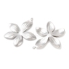 304 Stainless Steel Pendants STAS-A133-02C-P-2
