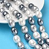 Electroplated Shell Pearl Beads Strands BSHE-Z010-01A-1