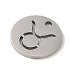 Non-Tarnish 201 Stainless Steel Charms STAS-E217-10P-02-2