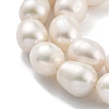 Natural Cultured Freshwater Pearl Beads Strands PEAR-P062-13E-X-4