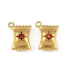 304 Stainless Steel Charms STAS-I342-05G-2