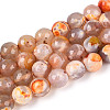 Dyed & Heated Natural Fire Crackle Agate Beads Strands G-N359-01B-10-2