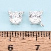 925 Sterling Silver Micro Pave Clear Cubic Zirconia Charms STER-N017-17A-S-4