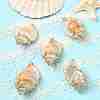 5Pcs Natural Sea Shell Big Pendants with Golden Brass Edge BSHE-YW0001-16-4