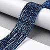 Electroplate Glass Beads Strands LS-GLAA-H021-01A-FP03-3