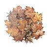 Waterproof PET Stickers Set LS-DIY-Z030-01C-3