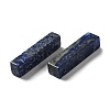 Natural Lapis Lazuli Pendants G-Z031-01A-2