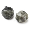 Natural Labradorite Carved Figurines DJEW-L023-C12-2