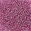 8/0 Glass Seed Beads X-SEED-A017-3mm-1111-2