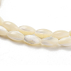 Natural Trochid Shell/Trochus Shell Beads Strands PBB513Y-3
