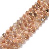 Natural Multi-Moonstone Beads Strands G-P463-06-1