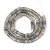 Natural Labradorite Beads Strands G-F631-A38-3