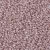 MIYUKI Round Rocailles Beads X-SEED-G008-RR3502-3