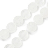 Natural Quartz Crystal Beads Strands G-M454-B03-2
