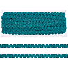 10M Polyester Braided Ribbons SRIB-WH0011-209B-1