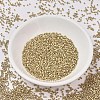 MIYUKI Delica Beads SEED-MY11-DB0334-2