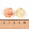 Transparent Acrylic Beads TACR-T028-40E-4
