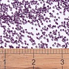 MIYUKI Delica Beads SEED-JP0008-DB0463-4