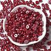 Opaque Colours Luster Glass Seed Beads SEED-E001-P3x6mm-A12-2