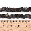 Natural Biotite Beads Strands G-T140-54-5