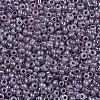Glass Seed Beads SEED-A011-2mm-148-2
