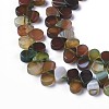 Dyed Natural Agate Beads Strands G-F595-A05-3