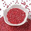 Baking Paint Glass Seed Beads X-SEED-S042-15A-06-2