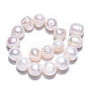 Natural Cultured Freshwater Pearl Beads Strands PEAR-N013-10F-4