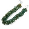 Baking Paint Transparent Glass Beads Strands DGLA-A035-T10mm-A08-2