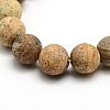 Frosted Natural Picture Jasper Round Bead Strands G-M064-10mm-05-2