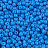 Baking Paint Glass Seed Beads SEED-S003-K17-2