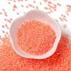 Glass Seed Beads SEED-S042-13A-06-2