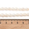Natural Cultured Freshwater Pearl Beads Strands PEAR-D003-01D-15-5