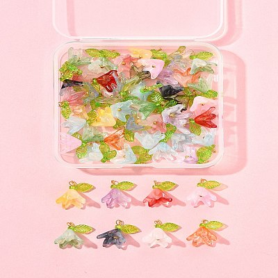 50Pcs Transparent Acrylic Pendants PALLOY-FS00043-02-1