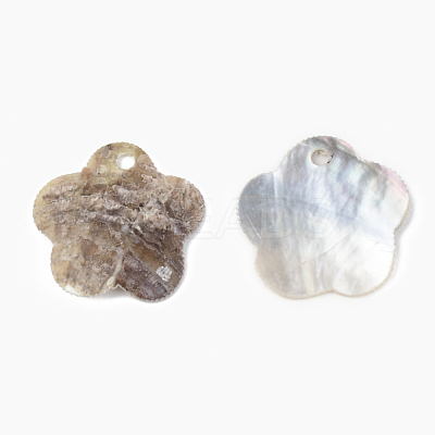 Natural Akoya Shell Pendants SHEL-R048-024-1