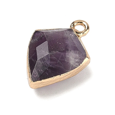 Natural Amethyst Pendants G-K422-01G-11-1