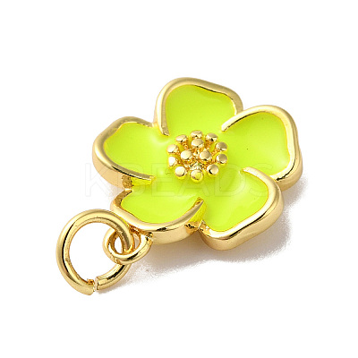 Rack Plating Brass Enamel Charms KK-O142-56G-03-1