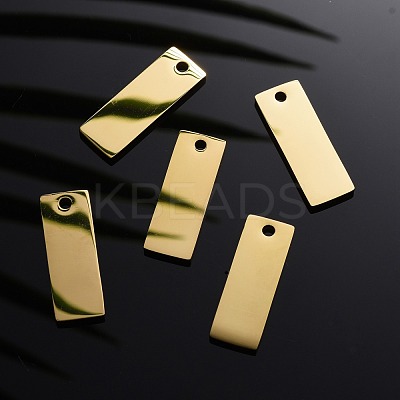 Ion Plating(IP) 304 Stainless Steel Pendants STAS-I140-22B-G-1