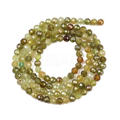 Natural Green Garnet Beads Strands G-B181-A01-3mm-1