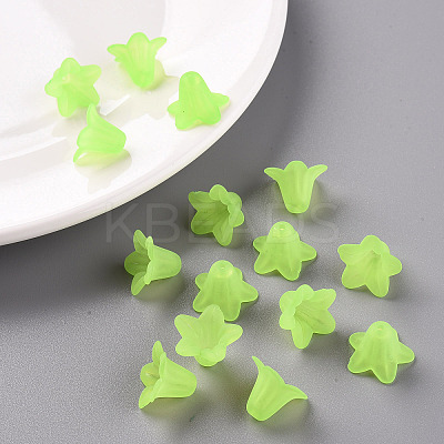 Transparent Acrylic Beads PLF018-05-1