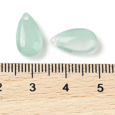 Transparent Glass Charms GLAA-U002-01A-1