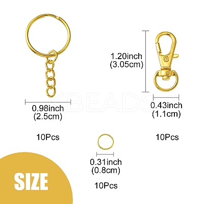 10Pcs Alloy Swivel Lobster Claw Clasps IFIN-YW0003-41-1