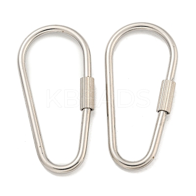 Non-Tarnish 304 Stainless Steel Screw Carabiner Lock Charms STAS-C092-09A-P-1