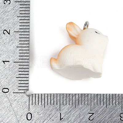 Cute Opaque Resin Pendants LS-RESI-R458-05F-1